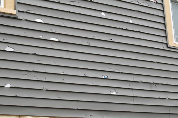 Best Steel Siding Installation  in Dana Point, CA